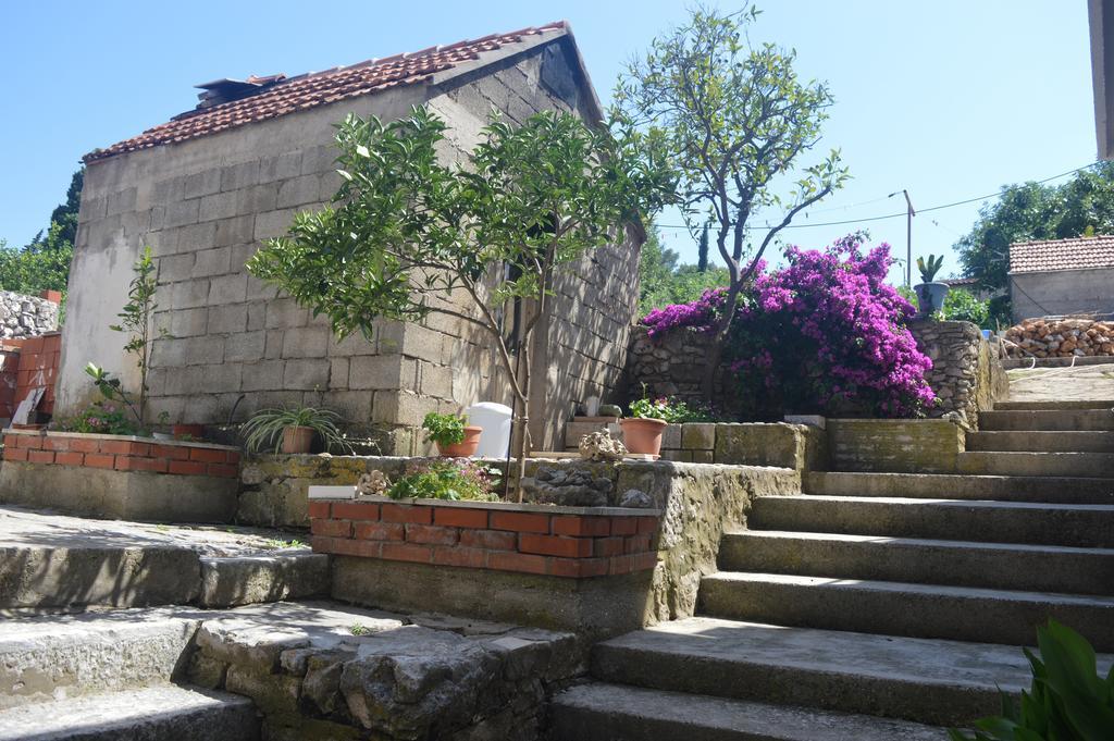 Guesthouse Cipre Lumbarda Exterior photo